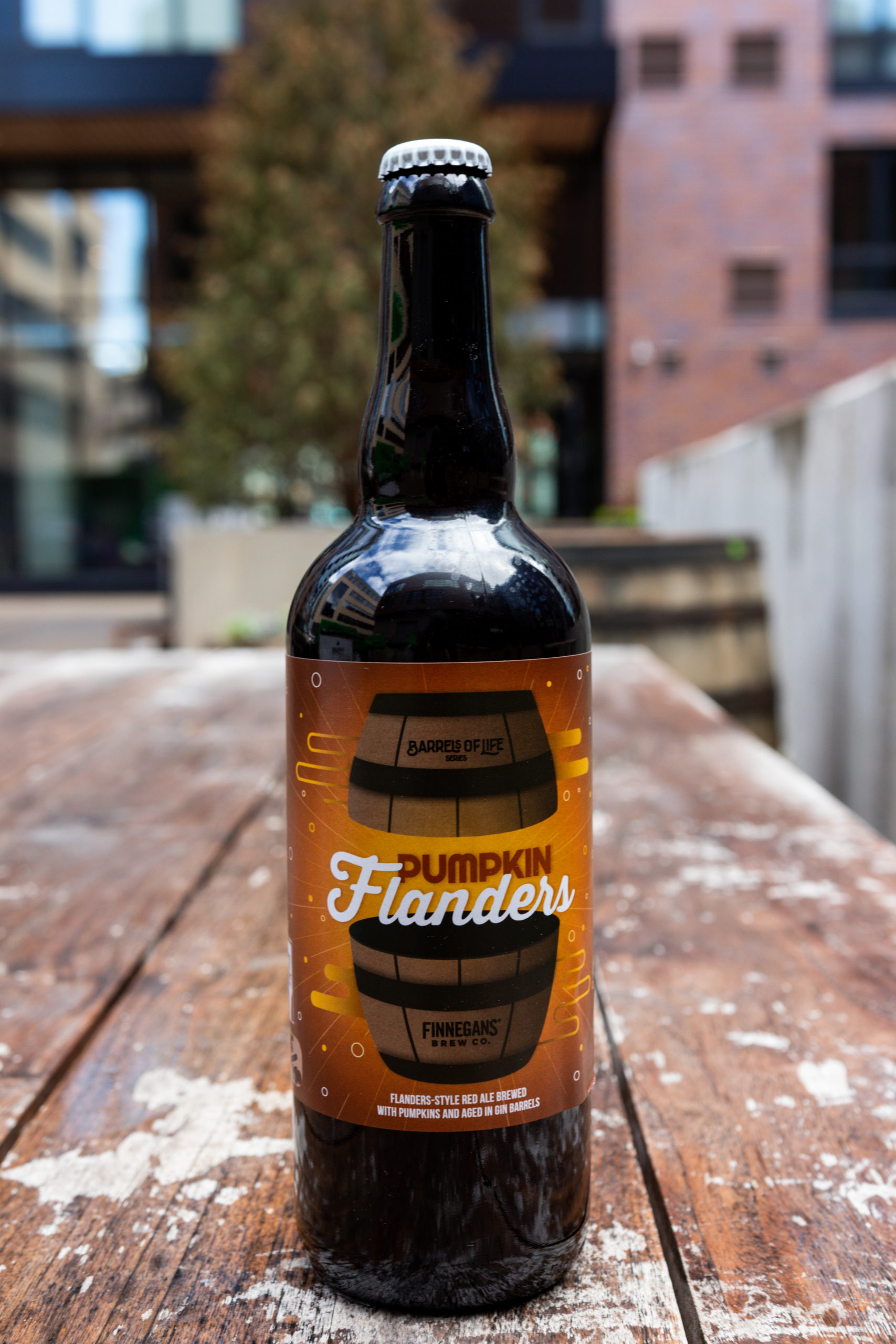 FINNEGANS Brew Co.'s Pumpkin Flanders • Photo via FINNEGANS Brew Co.