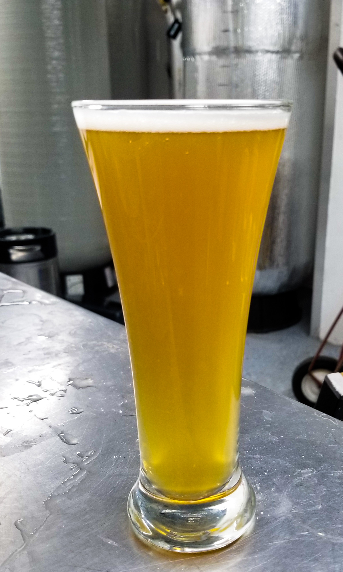 Initiative Cream Ale from Chaotic Good Brewing Company • Photo by Scott Stroh