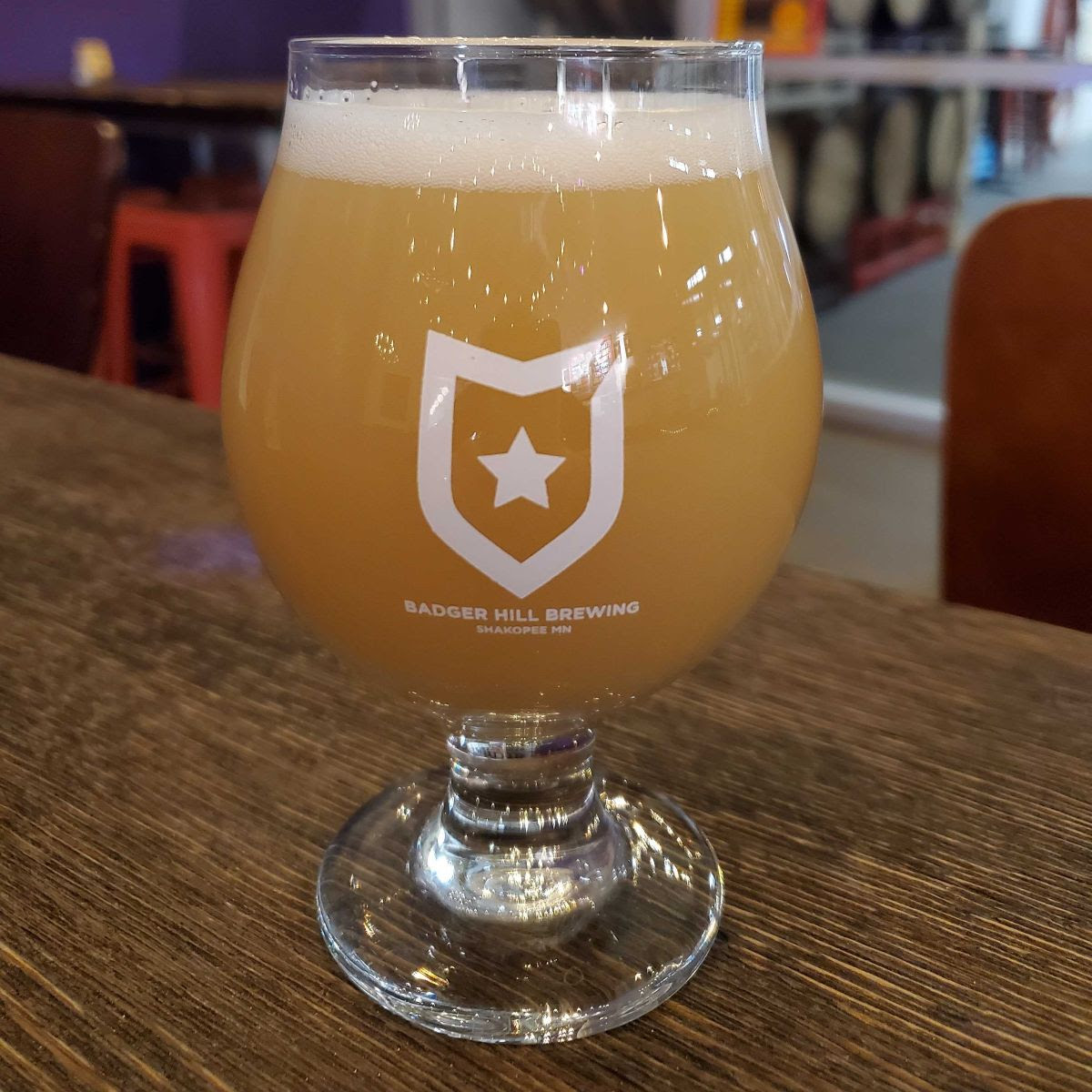 Badger Hill Starship IPA • Photo via Badger Hill Brewing Company