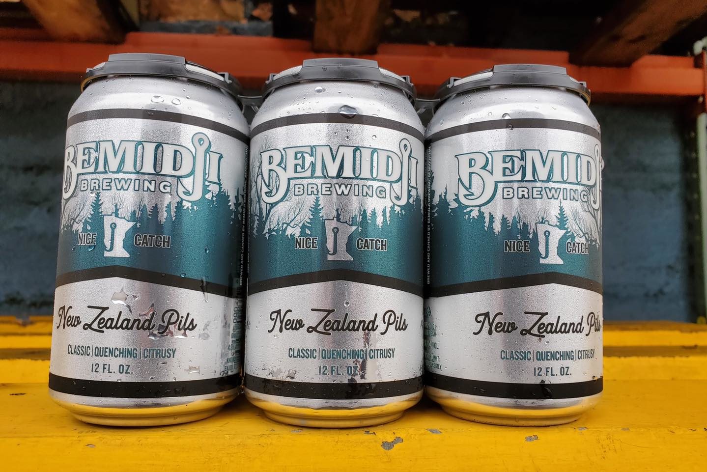 Bemidji New Zealand Pils • Photo via Bemidji Brewing