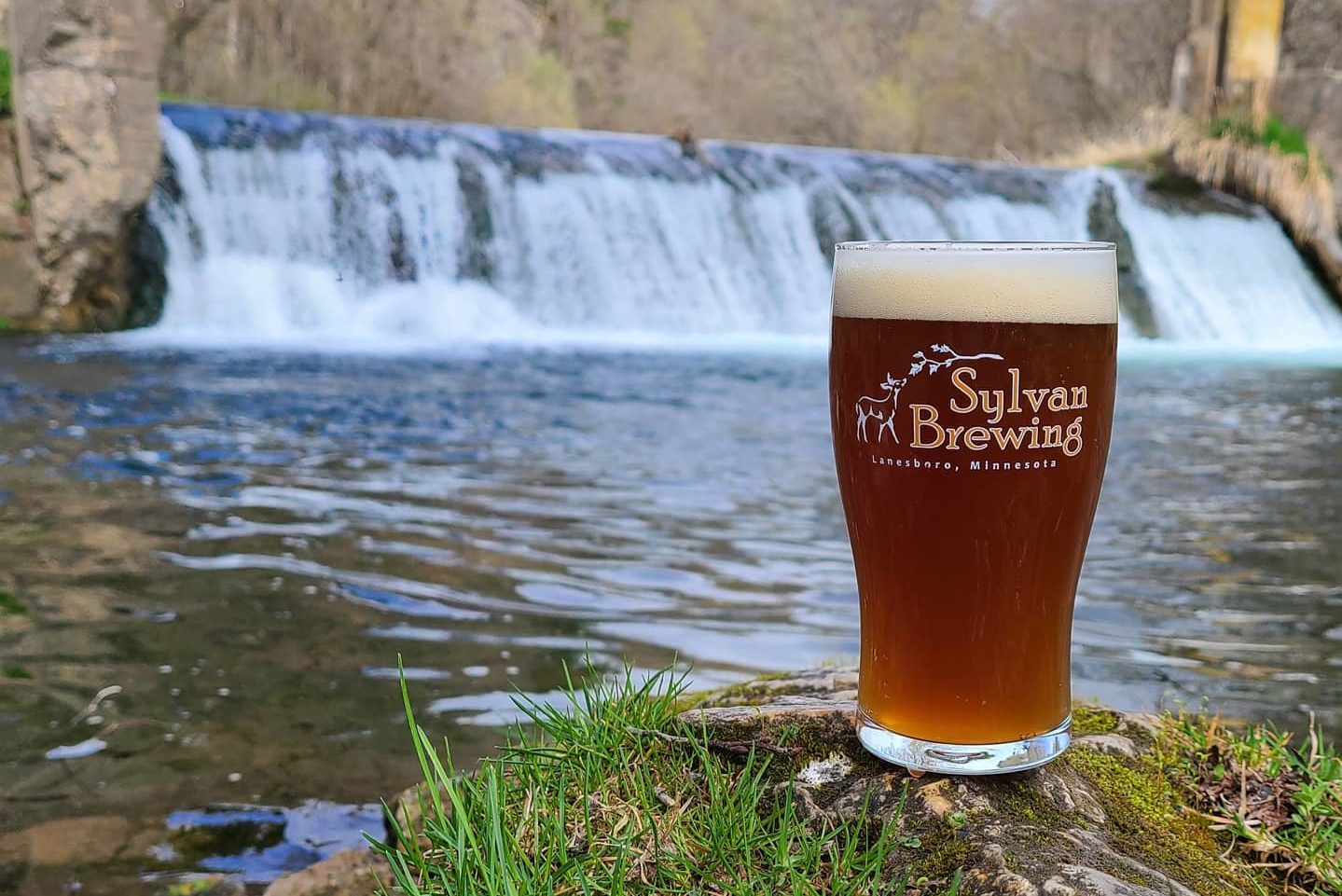 Sylvan Bucksnort Nut Brown Ale • Photo via Sylvan Brewing