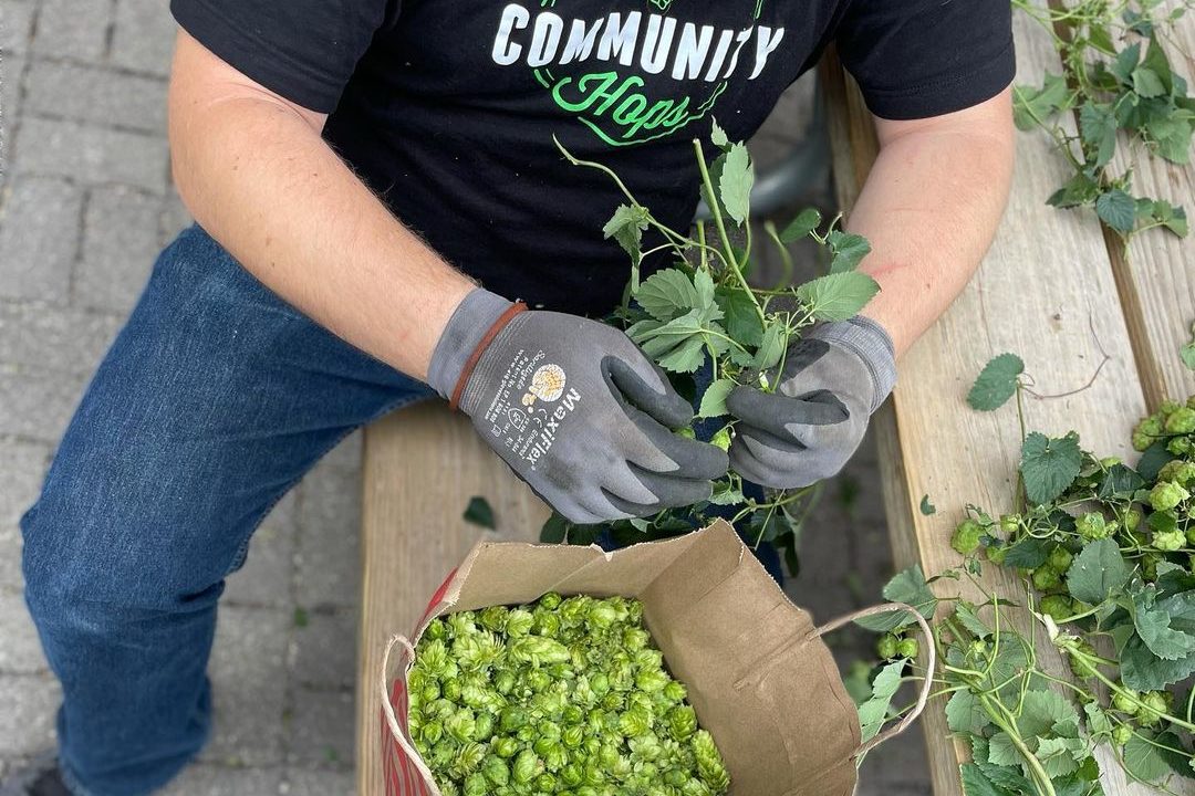 Venn Community Hops IPA • Photo via Venn Brewing