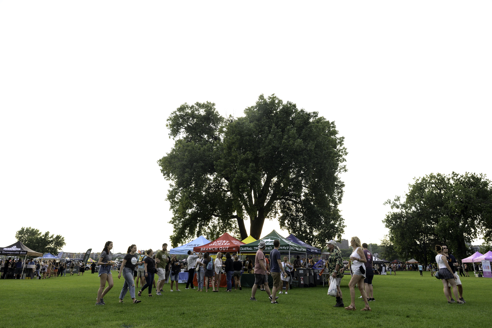 Summer-Beer-Dabbler-22-1