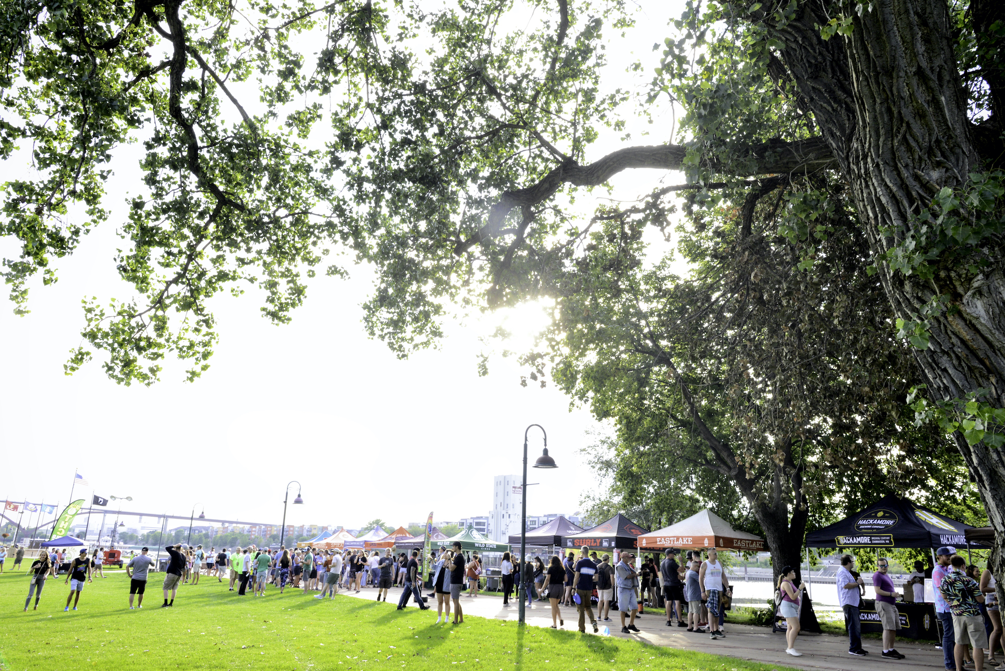 Summer-Beer-Dabbler-22-29