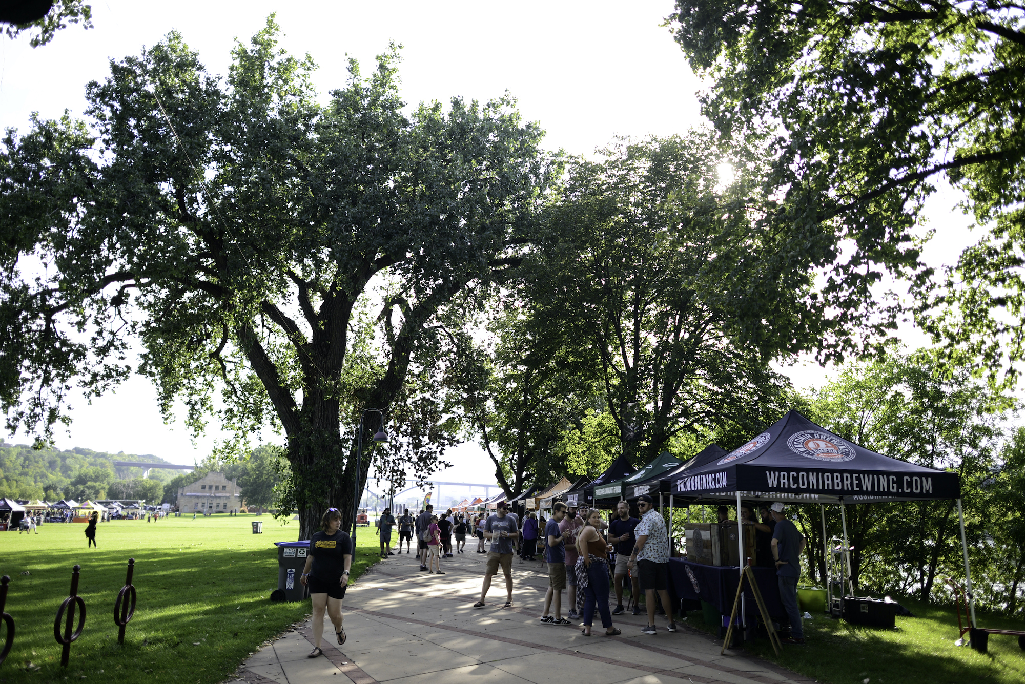 Summer-Beer-Dabbler-22-37