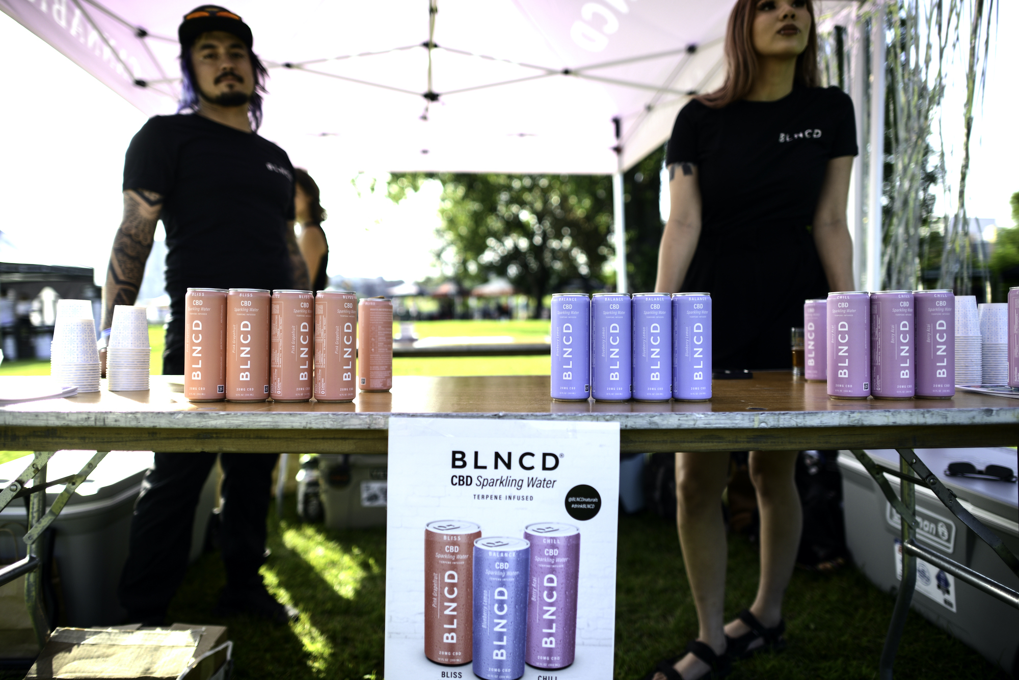 Summer-Beer-Dabbler-22-38